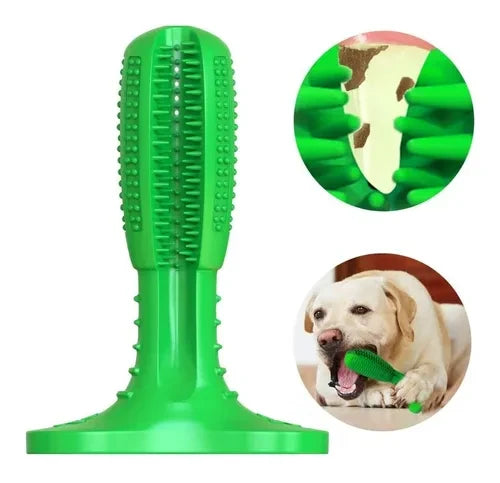 ¡Descubre el Cepillo Dental Antisarro para Mascotas: Sonrisas Saludables y Radiantes! 🐾